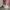 377146936_212223828561915_8318190659789933418_n